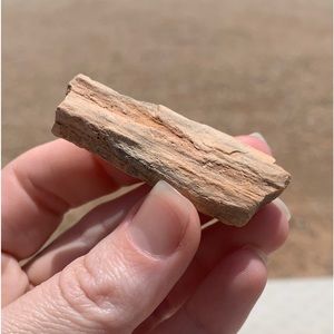 Transformative New Mexico Petrified Wood • Ancient Petrified Wood •